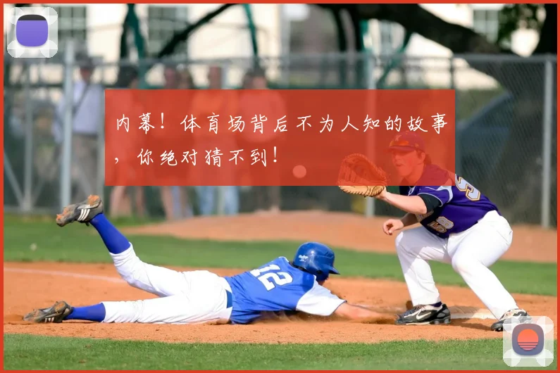 内幕！体育场背后不为人知的故事，你绝对猜不到！