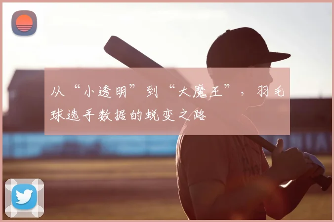 从“小透明”到“大魔王”,羽毛球选手数据的蜕变之路